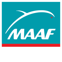 Maaf